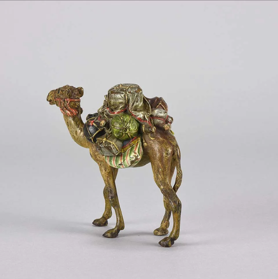 "Laden Camel" by Bergman