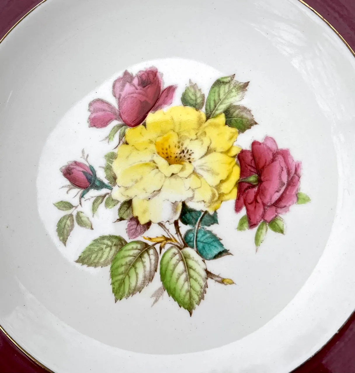 Set 4 Different Antique Hand Painted Botanical Transferware Plates English Cottage