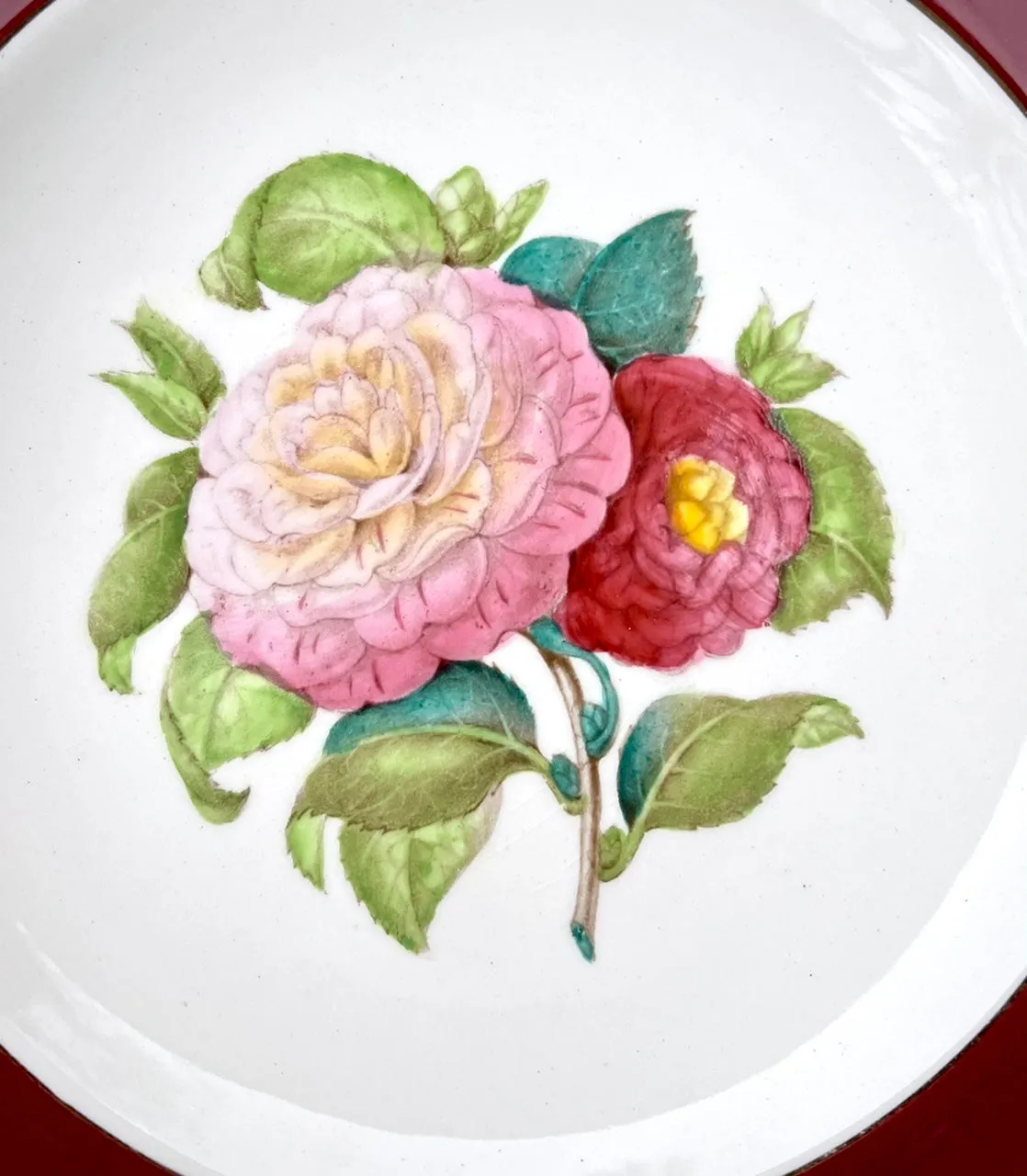Set 4 Different Antique Hand Painted Botanical Transferware Plates English Cottage