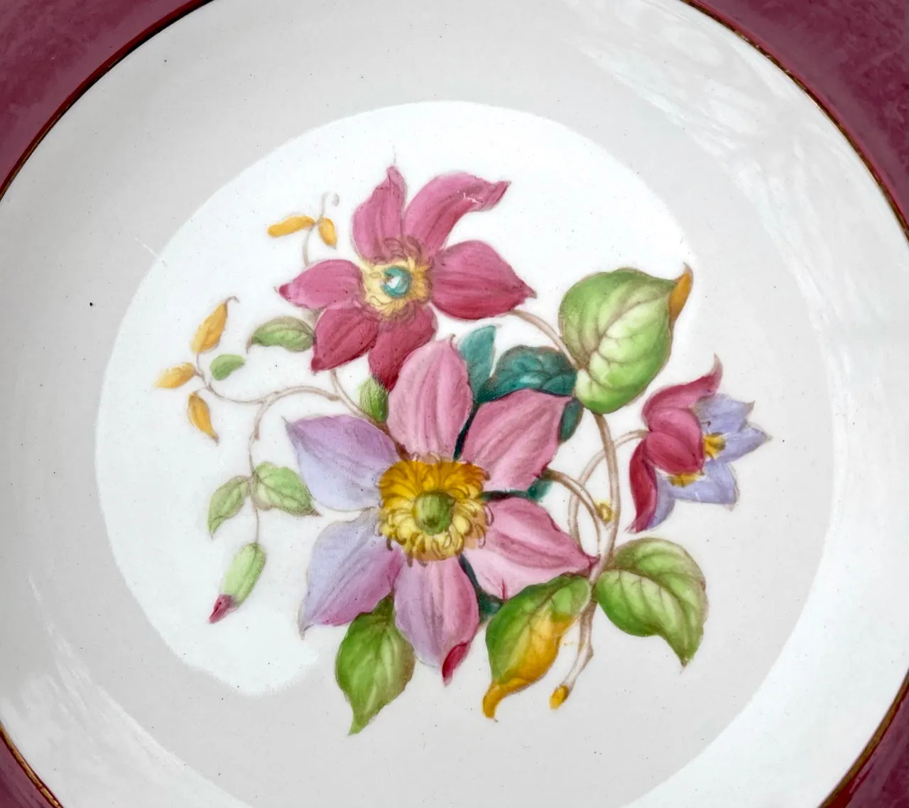 Set 4 Different Antique Hand Painted Botanical Transferware Plates English Cottage