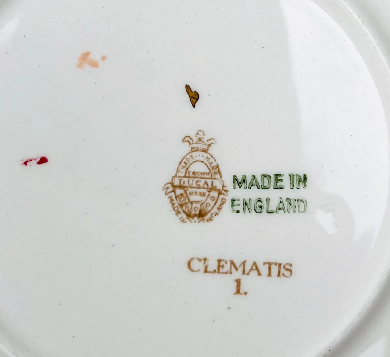 Set 4 Different Antique Hand Painted Botanical Transferware Plates English Cottage