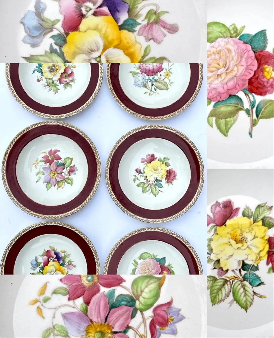 Set 4 Different Antique Hand Painted Botanical Transferware Plates English Cottage