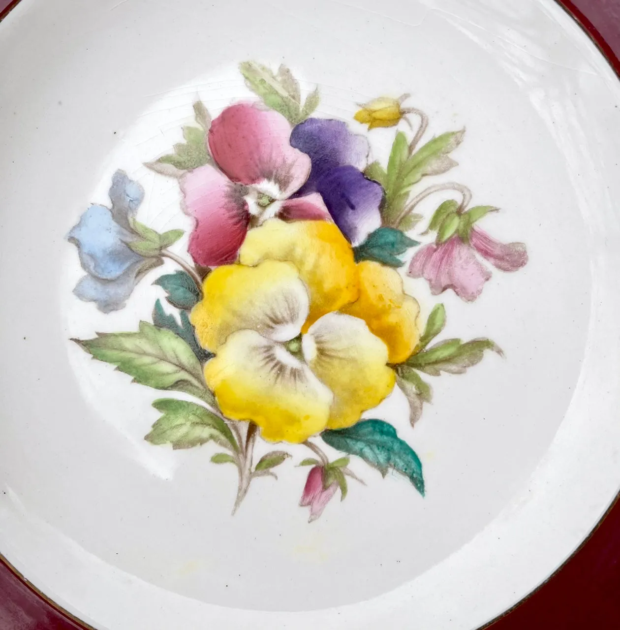 Set 4 Different Antique Hand Painted Botanical Transferware Plates English Cottage
