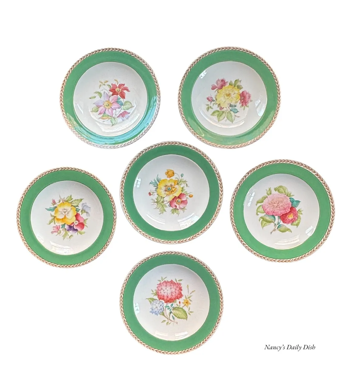 Set 6 Different Antique Hand Painted Flower Transferware Plates English Cottage