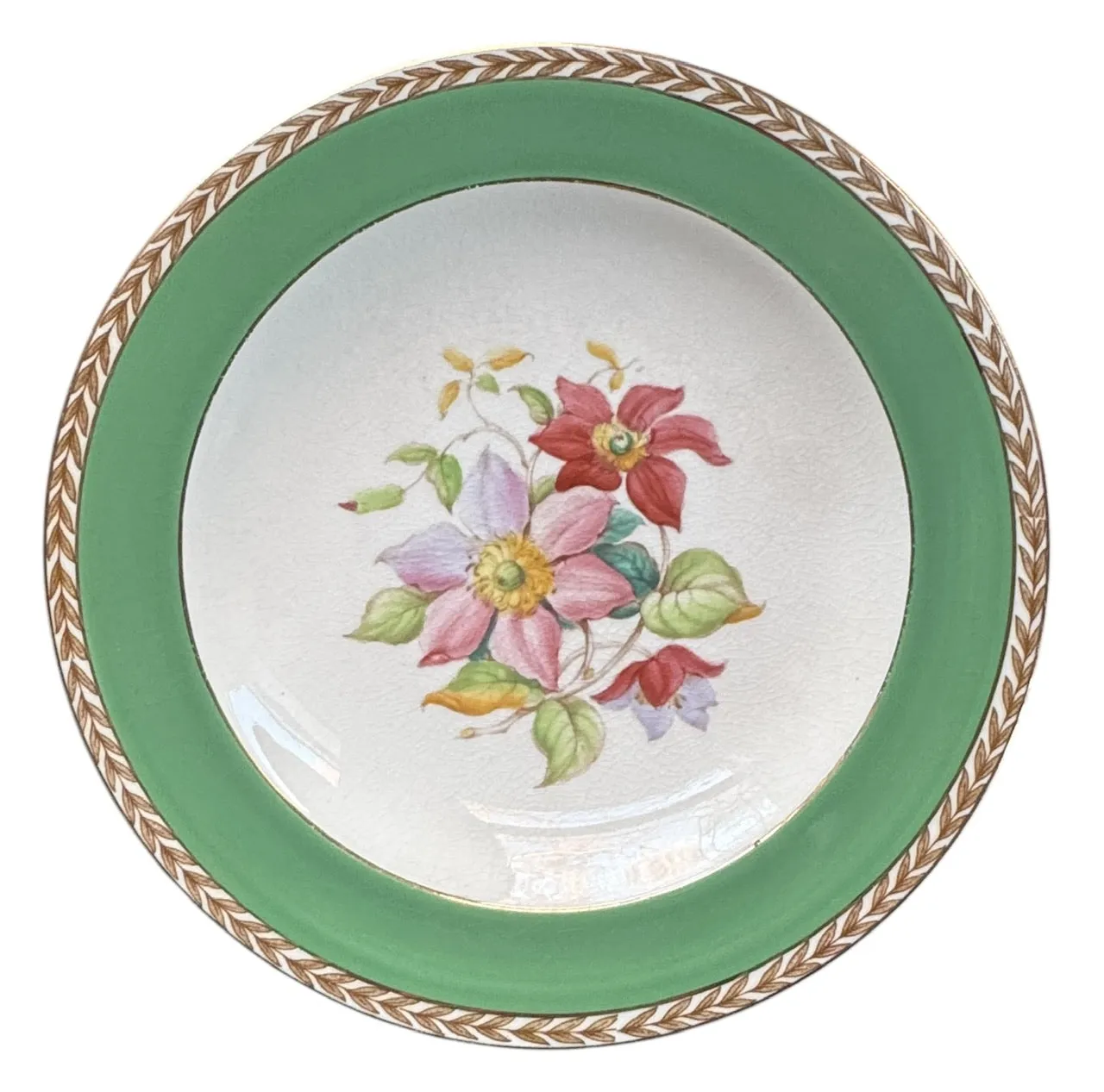 Set 6 Different Antique Hand Painted Flower Transferware Plates English Cottage