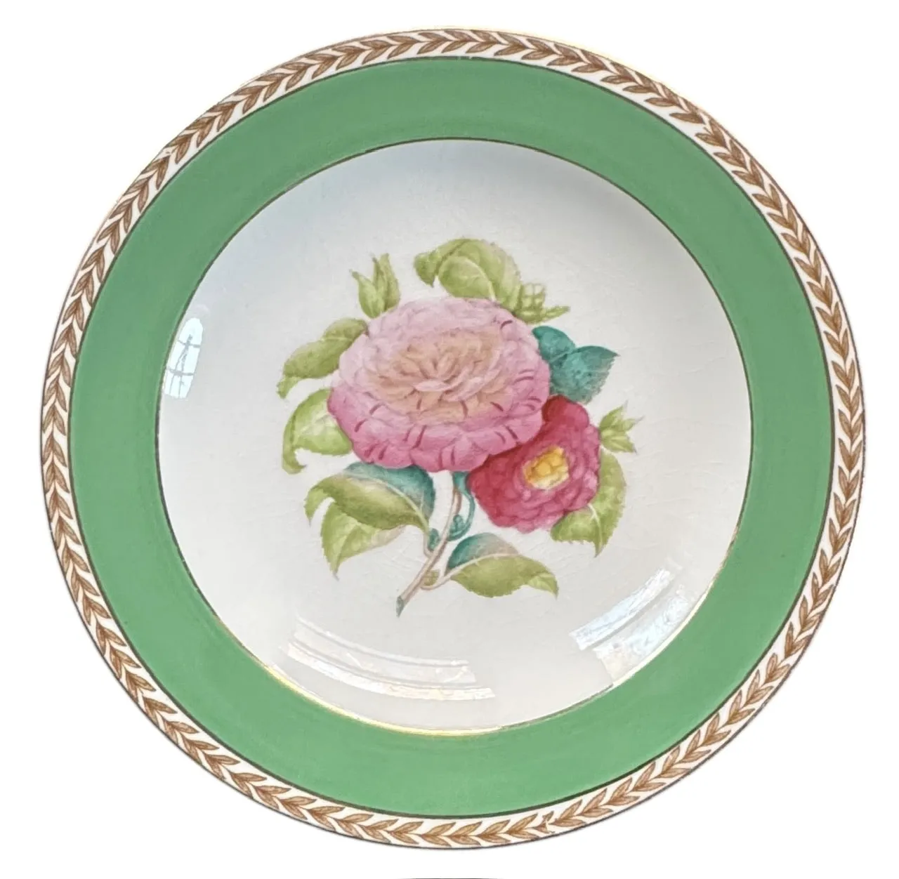 Set 6 Different Antique Hand Painted Flower Transferware Plates English Cottage