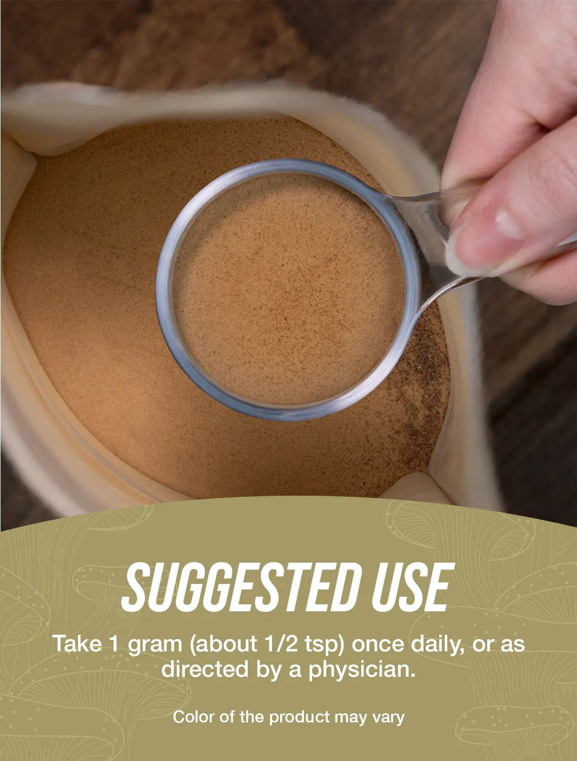 Turkey Tail Mushroom Extract Powder